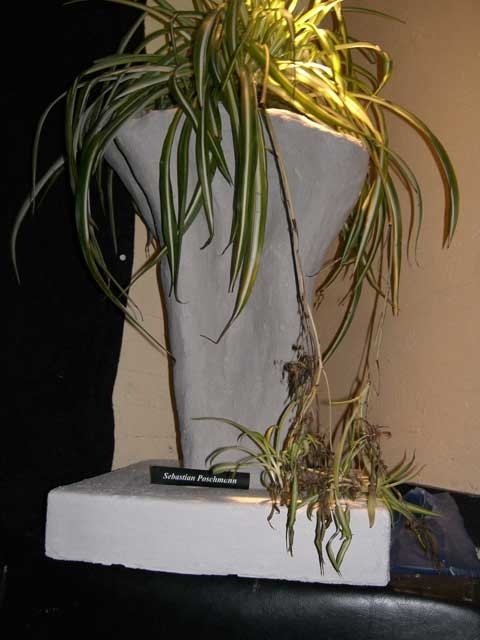 CIMG1063.resized.jpg